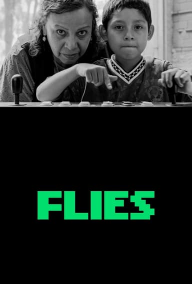 Flies