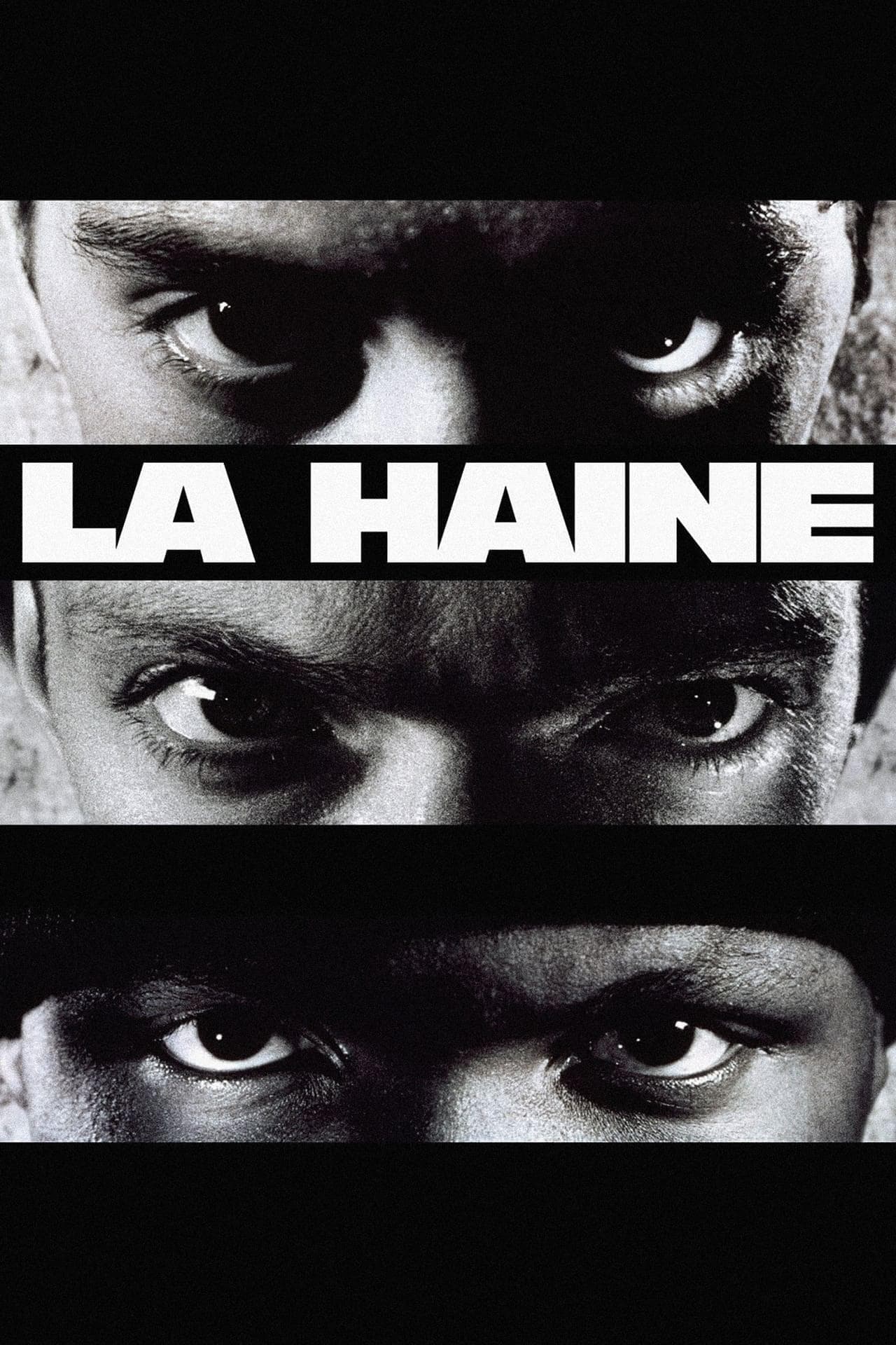 La haine