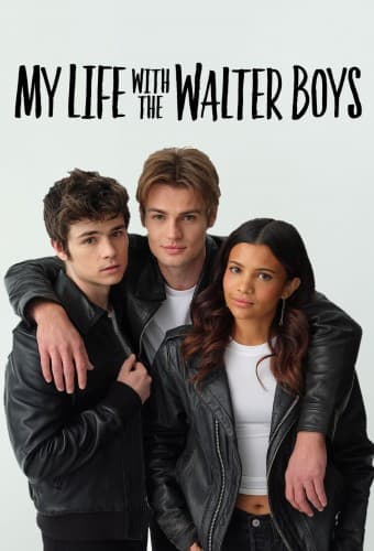 My Life with the Walter Boys