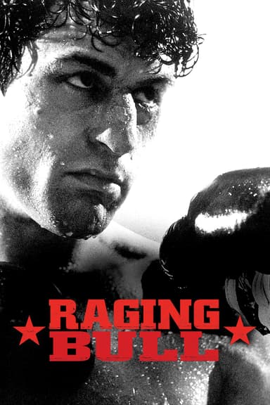 پوستر فیلم Raging Bull با زیرنویس فارسی Raging Bull
