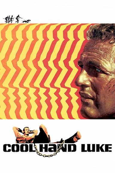 پوستر فیلم Cool Hand Luke با زیرنویس فارسی Cool Hand Luke