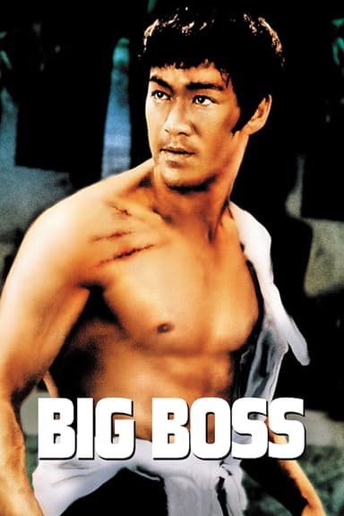 پوستر فیلم The Big Boss با زیرنویس فارسی The Big Boss