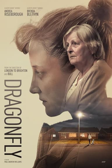 پوستر فیلم Dragonfly با زیرنویس فارسی Dragonfly