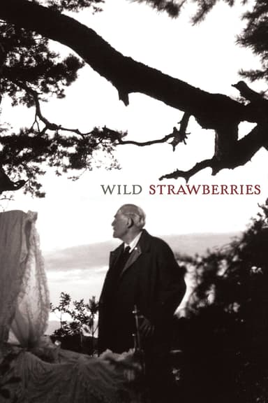 پوستر فیلم Wild Strawberries با زیرنویس فارسی Wild Strawberries