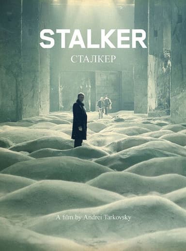 پوستر فیلم Stalker با زیرنویس فارسی Stalker