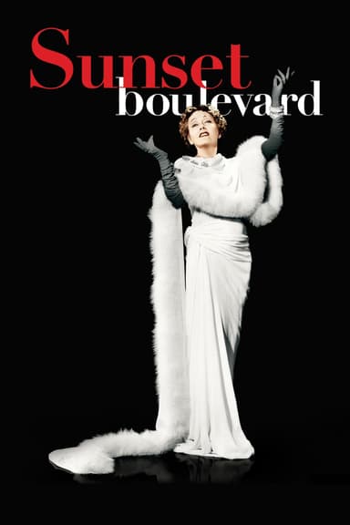 پوستر فیلم Sunset Boulevard با زیرنویس فارسی Sunset Boulevard