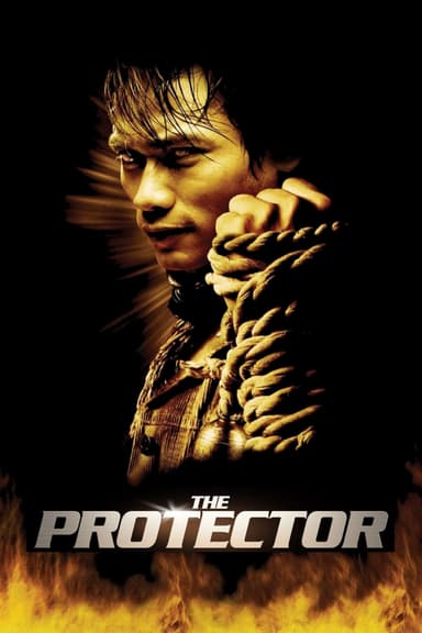 پوستر فیلم The Protector با زیرنویس فارسی The Protector