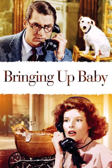 پوستر فیلم Bringing Up Baby با زیرنویس فارسی Bringing Up Baby