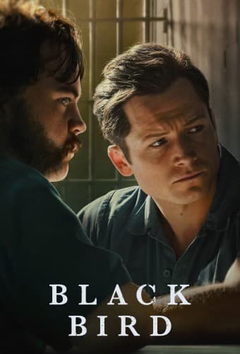 پوستر مینی سریال Black Bird با زیرنویس فارسی Black Bird