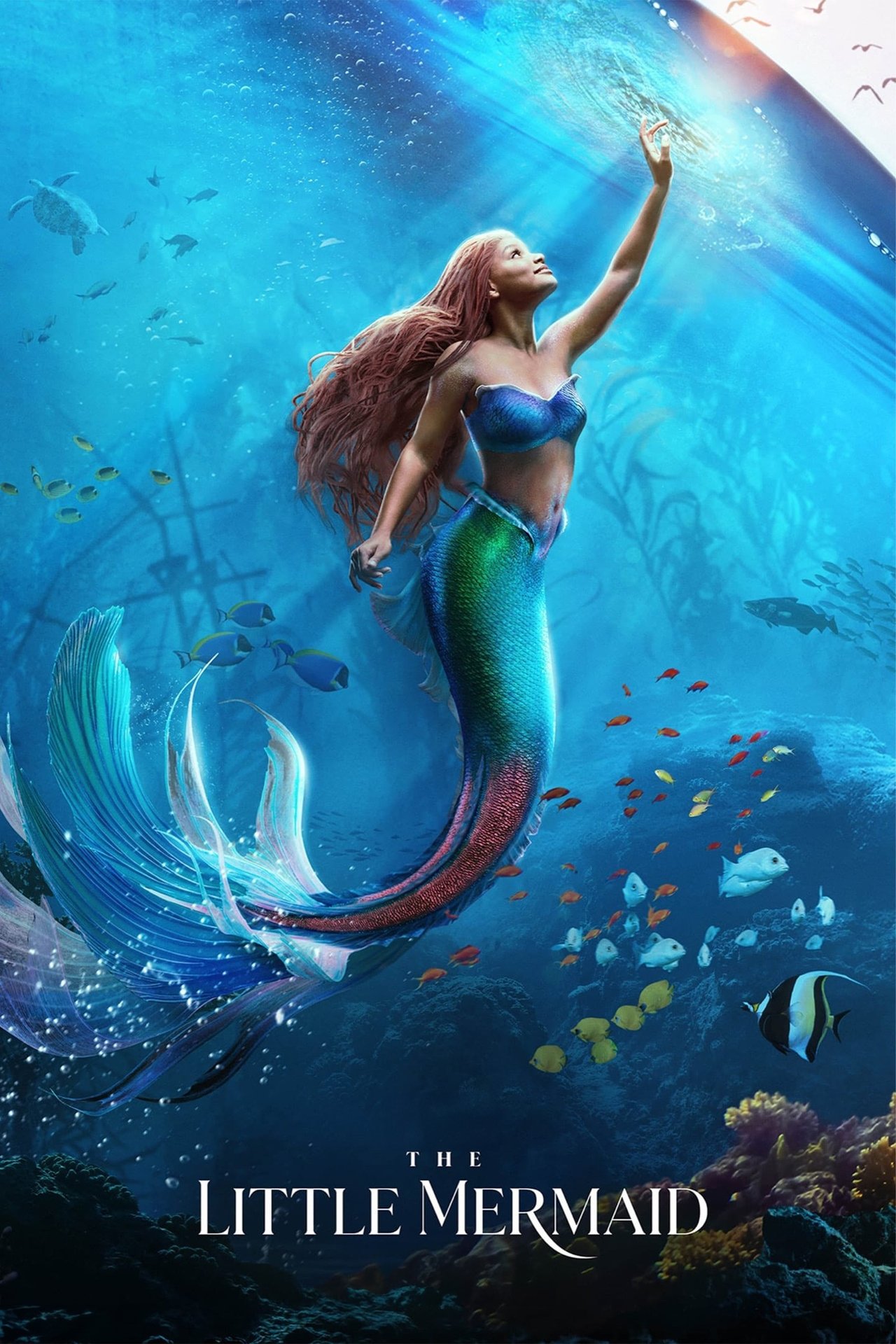 دانلود فیلم The Little Mermaid با زیر نویس فارسی دانلود فیلم The Little Mermaid با زیر نویس فارسی